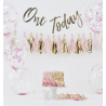 1 kit anniversaire "One today" fille