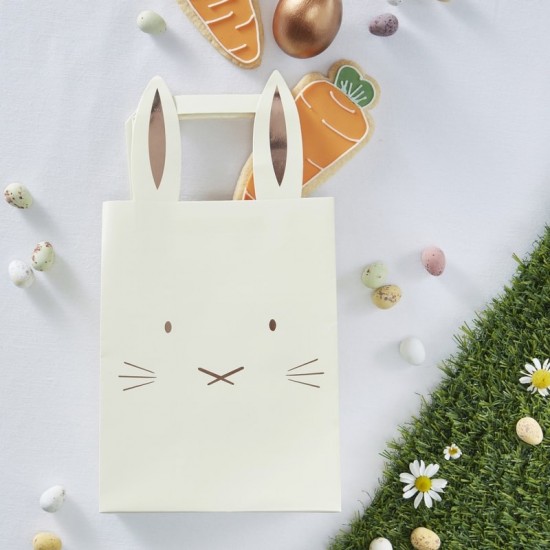 5 sacs lapin