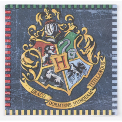 16 serviettes Harry Potter