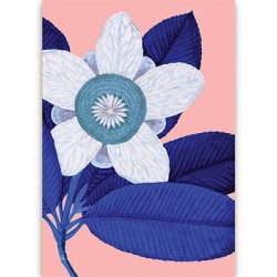 Carte fleurs - bleu et rose