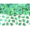 Confettis feuille de monstera - vert