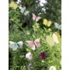 Guirlande décorative - Papillons