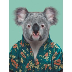 Note Card - Koala