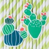 12 pailles - cactus