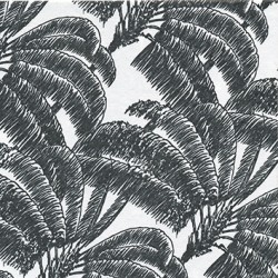 20 serviettes en intissé - Black palm