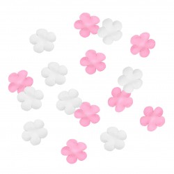 Confettis - pétales fleurs 