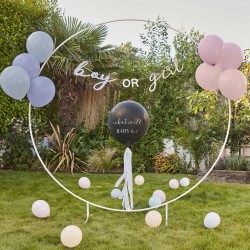 Kit Gender reveal - What Will Baby Be 