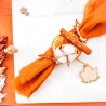 10 Assortiments - Fleur de coton, cannelle, Anis et Orange