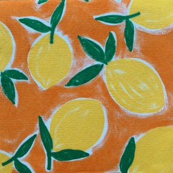 20 grandes serviettes - Citrus Orange