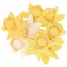 8 Confettis feutrine jonquilles - jaune brodé