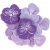 8 Confettis feutrine pensées - Violet brodé
