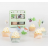 Kit cupcake - Bunny greenhouse 