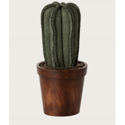 Pot de fleurs - Cactus