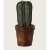 Pot de fleurs - Cactus