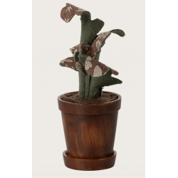 Pot de fleurs - Plante
