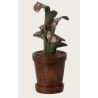 Pot de fleurs - Plante