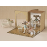 Studio de dance pour Souris