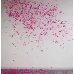 A supprimer Canon à confettis - Rectangle rose